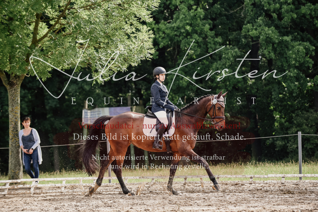 DSC_9629 | Pferde- und Turnierfotografie in Westsachsen. Pferdeportraits, Auftragszeichnungen und intuitive Kunst.