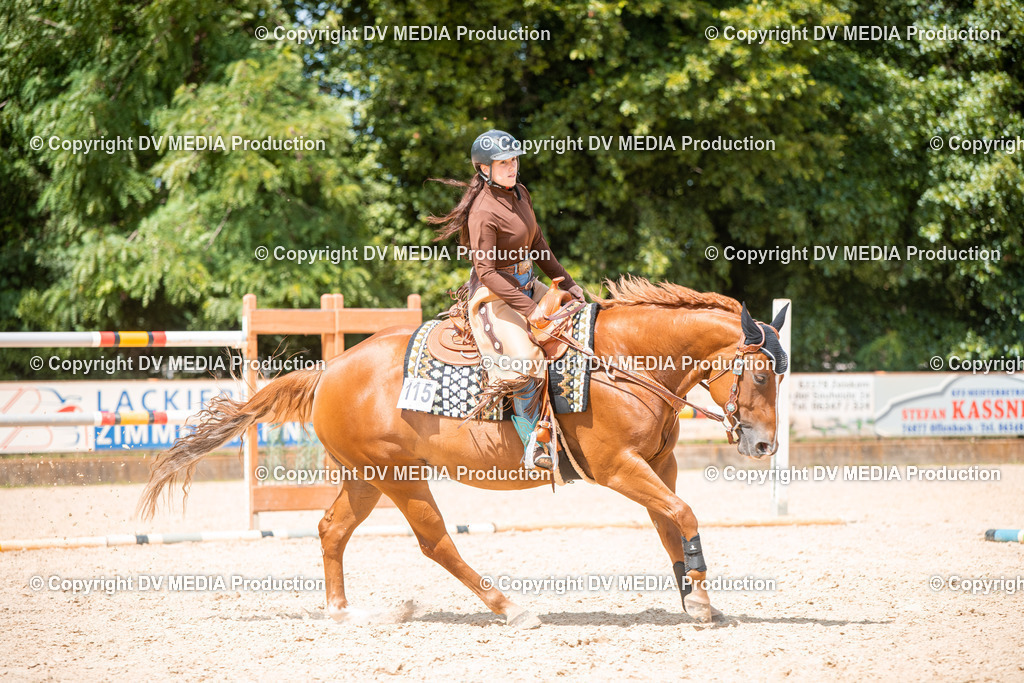 EWP_6669 | dv-media-shop - Realisiert mit Pictrs.com