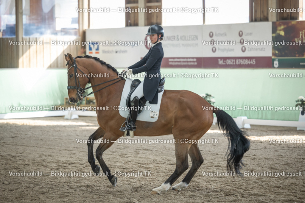 _D5A0010 | Emotionale Pferde- & People-Fotografie rund um Heidelberg, Leimen & Umgebung. Natürliche Fotos von Pferd, Mensch & Familie. Jetzt Termin sichern!