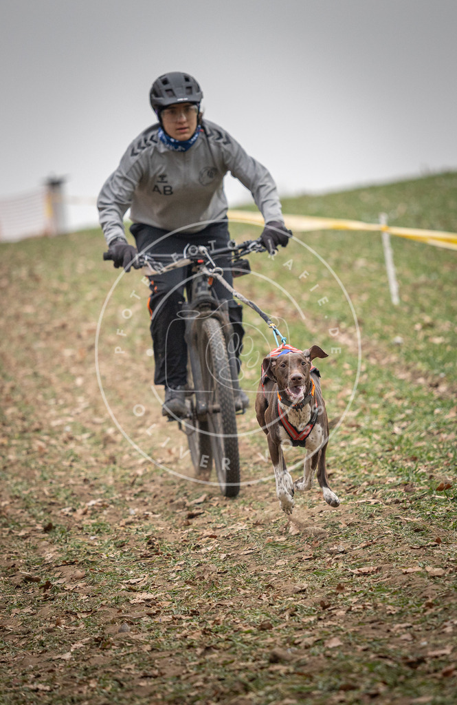 Pfotenfotografie_DV3A2471 | Hundefotografie, Tierfotograf, Pfotenfotografie, Fotoshooting Hund, Hunde Portrait, Hundesport, Hundeportraits, Heideshooting, Hunde, Sportfotograf, Hundefotograf, Turnierhundsport, THS,  - Realisiert mit Pictrs.com