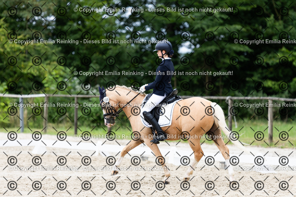 CL5A8603 | Emilia Reinking Fotografie - Realisiert mit Pictrs.com