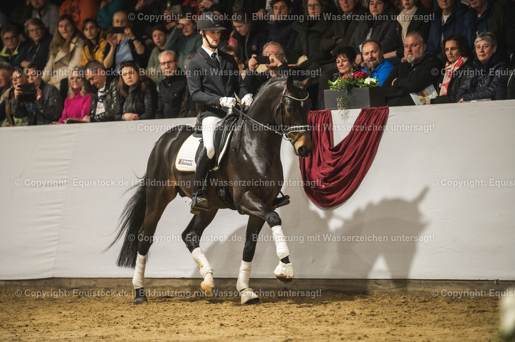 20240302_Hengstvorstellung_Marbach_TOMsPiC_0387 | equistock