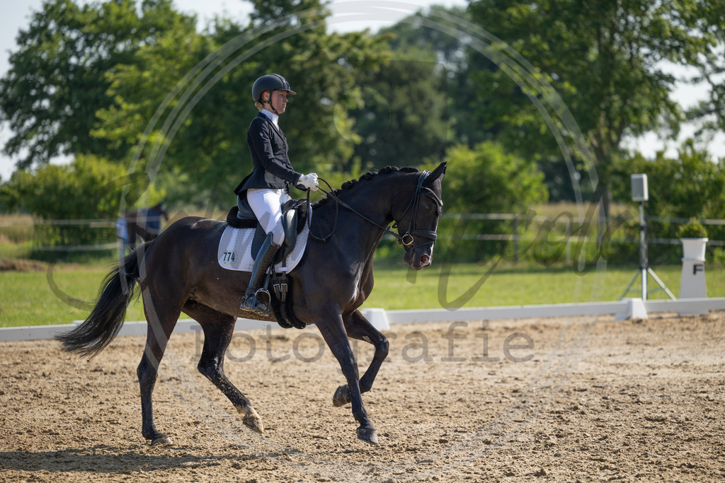 994A4263 | sabrinanicolaifotografie - Realisiert mit Pictrs.com