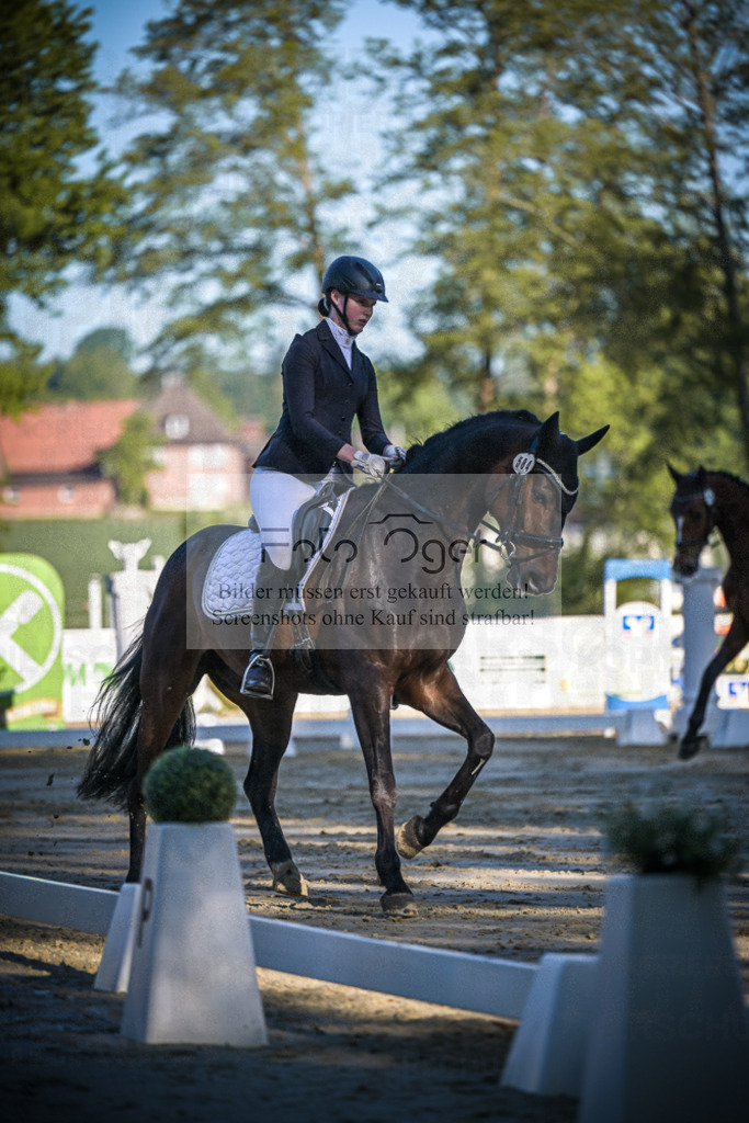 DOS_3719 | Entdecke hochwertige Reitturnierfotos von Foto Oger. Professionell, emotional und authentisch – jetzt Lieblingsmomente im Shop bestellen.Deutschlandweite Turnierfotografie. - Realisiert mit Pictrs.com