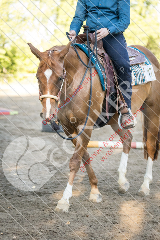IMG_5987 | Sport-, Event- und Tierfotos in Profiqualität. Einfach auswählen, bestellen und herunterladen. Dein Moment – perfekt festgehalten.