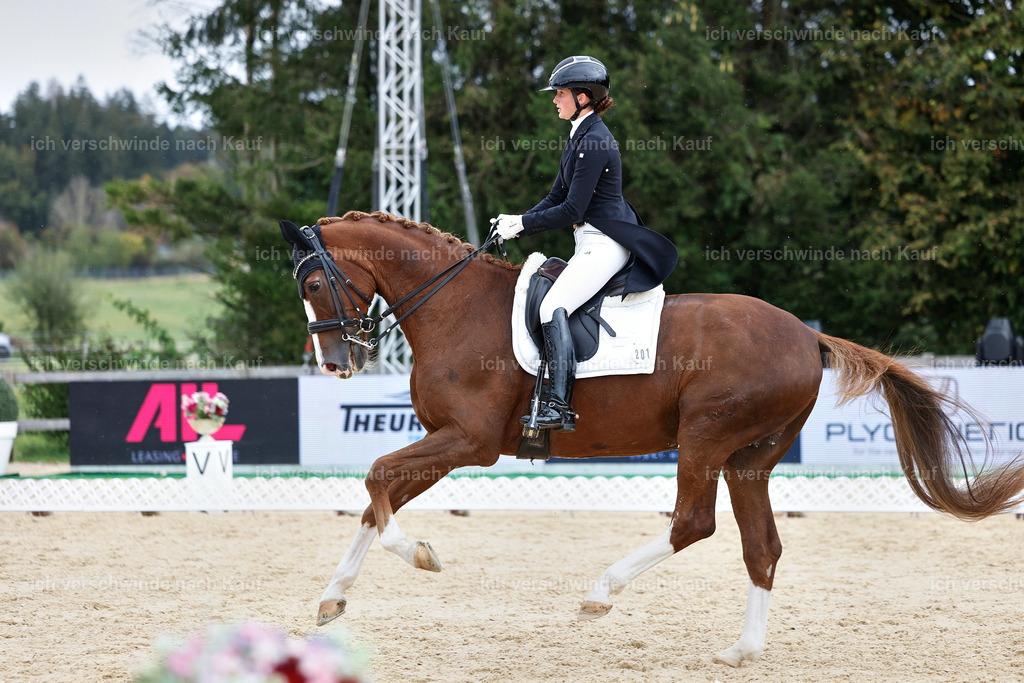 11-201-Dressur S___-StoibPH-951 | working equitationturnier fotograf videograf stoibphotography marixx film working equitation deutschland reitsport turnierfotografie eventfotografie equestrian events