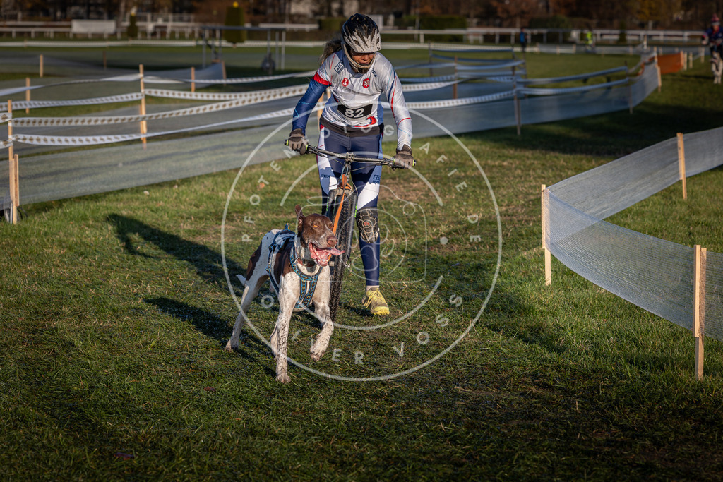 CaniXpix_0L8A3735 | Hundefotografie, Tierfotograf, Pfotenfotografie, Fotoshooting Hund, Hunde Portrait, Hundesport, Hundeportraits, Heideshooting, Hunde, Sportfotograf, Hundefotograf, Turnierhundsport, THS,  - Realisiert mit Pictrs.com