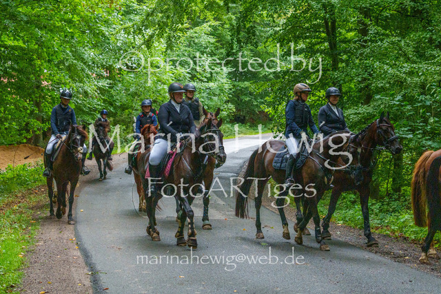 Jagd Kletkamp 26-02778_MarinaHewig | Fotografie, FotoArt, PferdesportArt, Pferdesportfotografie, Landschaftsfotografie, Reisefotografie, Reise, Pferde - Realisiert mit Pictrs.com