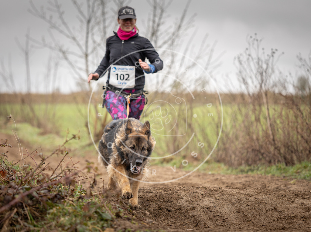 DV3A0173 | Hundefotografie, Tierfotograf, Pfotenfotografie, Fotoshooting Hund, Hunde Portrait, Hundesport, Hundeportraits, Heideshooting, Hunde, Sportfotograf, Hundefotograf, Turnierhundsport, THS,  - Realisiert mit Pictrs.com