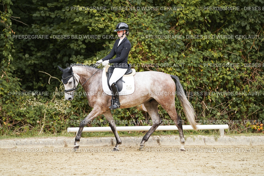 DSC00786 | Pferdegrafie