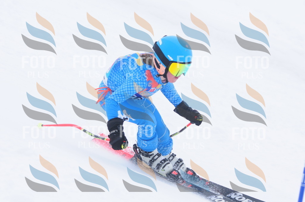 C2733 | holidayphoto