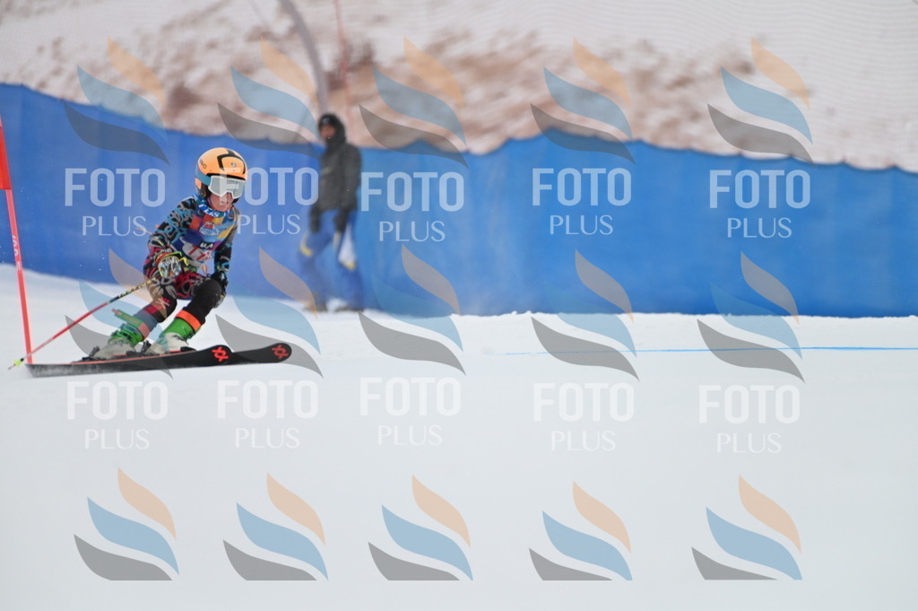 BGV_9784 | holidayphoto