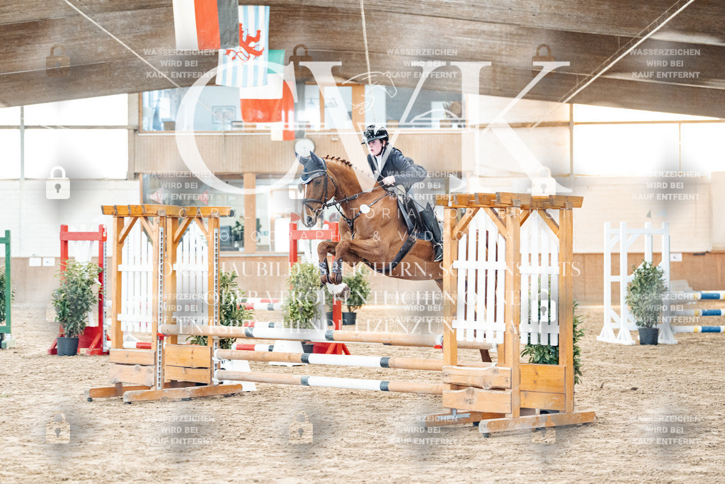 CK903725 | Turnierfotografie Pferdefotografie Trier Rheinland-Pfalz Pferdesport Reitsport Tierfotografie Sportfotografie Pferdevideo Pferdevideografie Equestrianvideography equestrianphotography  - Realized with Pictrs.com