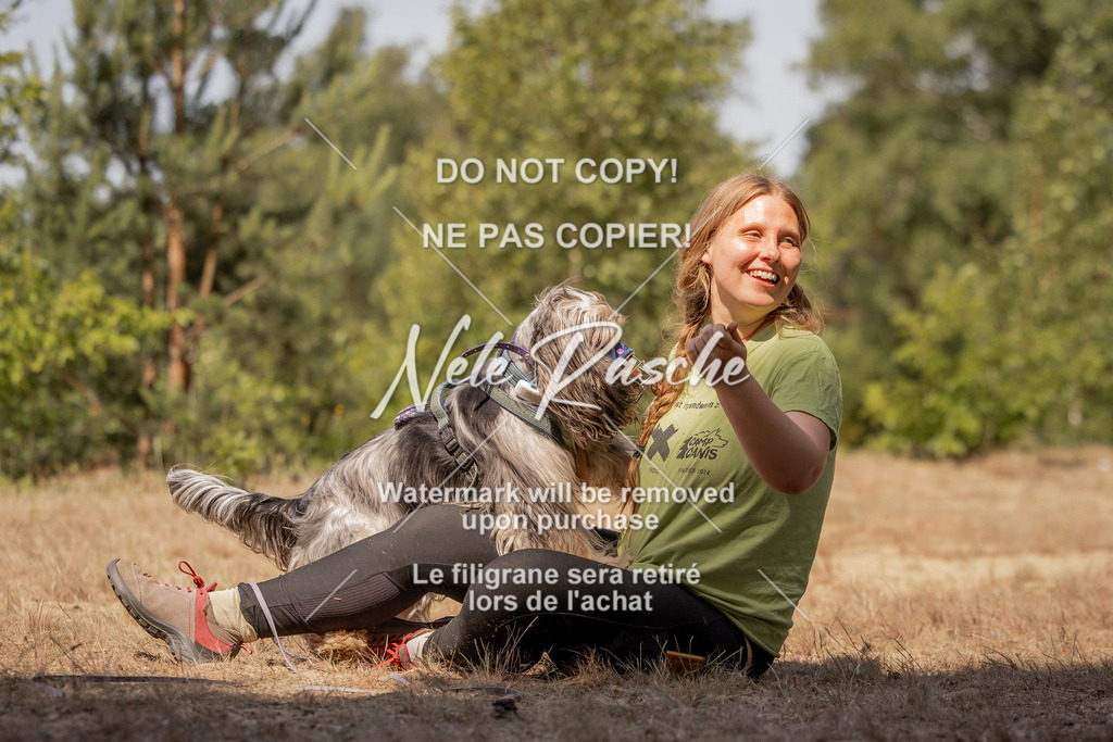 nelerasche_soDD2_370 | nelerasche