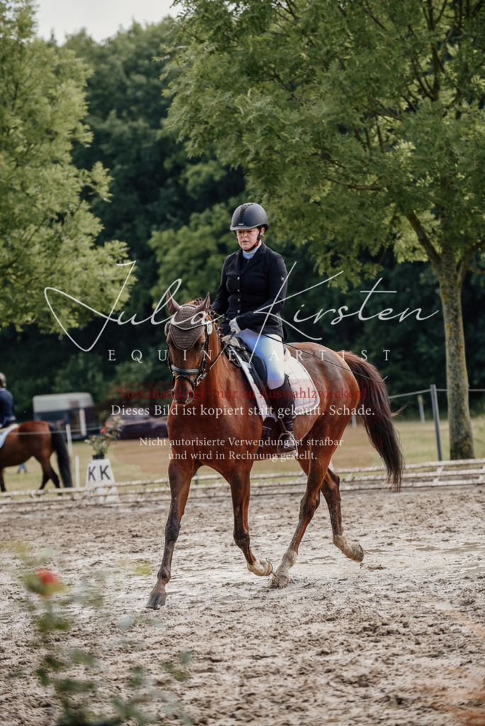 DSC_9262 | Pferde- und Turnierfotografie in Westsachsen. Pferdeportraits, Auftragszeichnungen und intuitive Kunst.