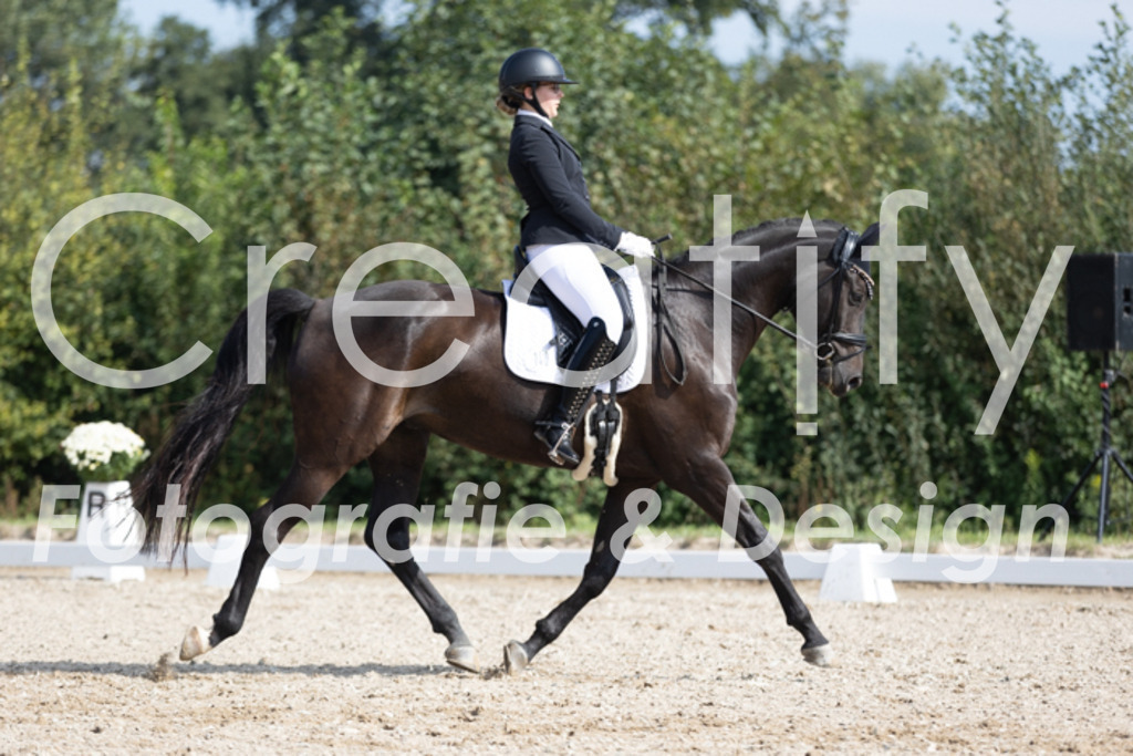 IMG_3341 | Creatify Fotografie