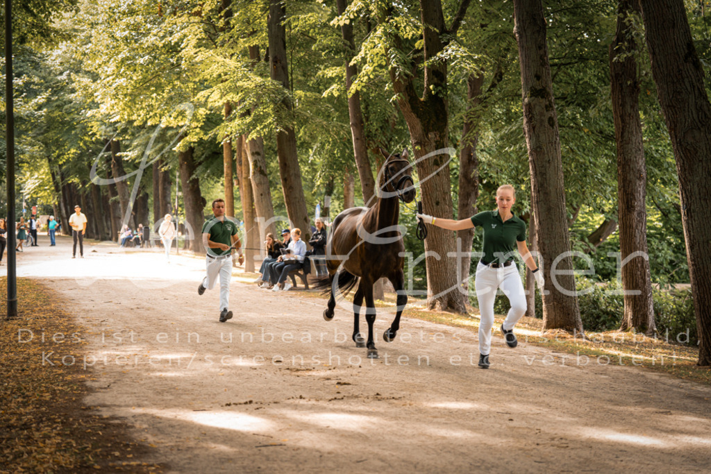 FrPfM00049 | Leoni Ertmer Photography - Realisiert mit Pictrs.com