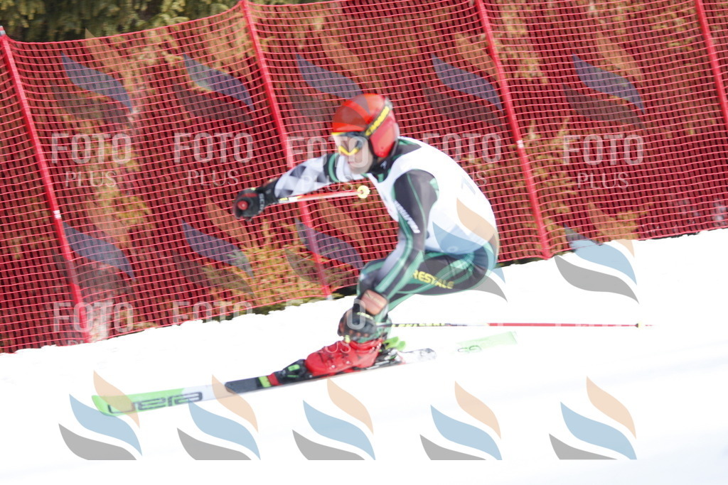 D7376 | holidayphoto