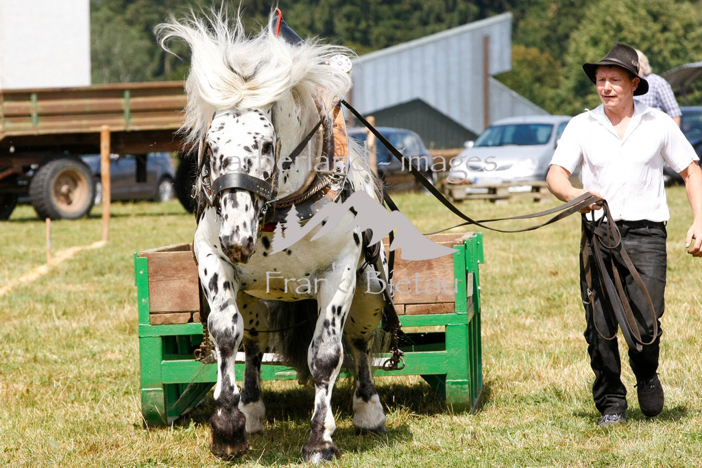 15082015-fb-6275 | Leistungsziehen in Poschetsried 2015