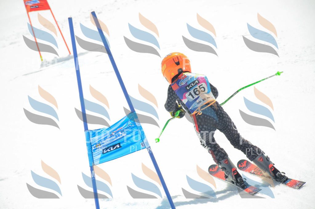 _ELE6493 | holidayphoto