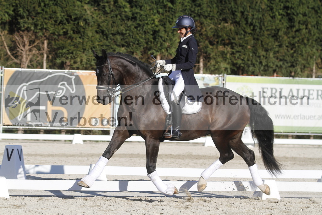 _MG_2846 | equestrian-live-com