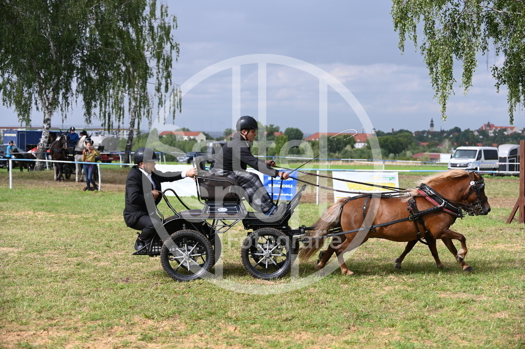 DSC_8851 | sattelsport - Realisiert mit Pictrs.com