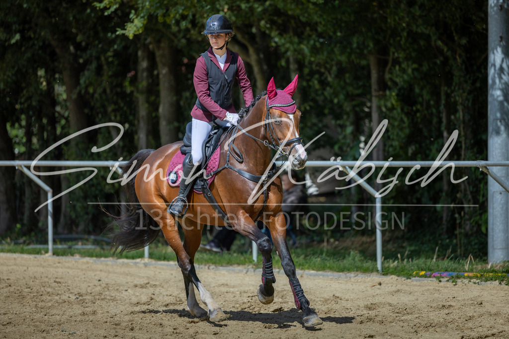 20260905-_3LI8725 | Tierfotografie Pferde, Hunde, Katzen, Haustiere.
Turnierfotografie Reitturniere, Reiten, Springreiten, Dressur in Hanau, dem Main-Kinzig-Kreis und dem Rhein-Main- Gebiet um Frankfurt