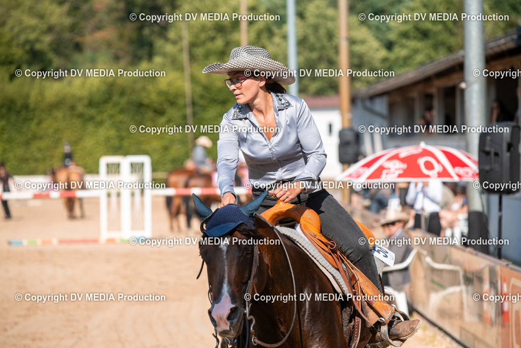 ZS2_8795 | dv-media-shop - Realisiert mit Pictrs.com