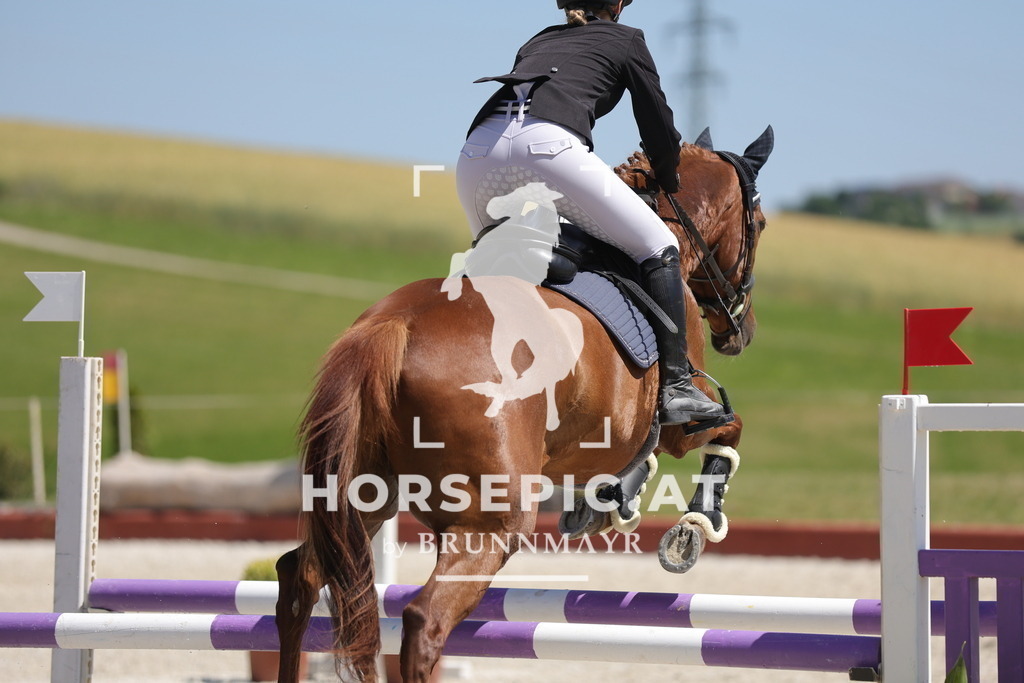 0P6A9637 | Willkommen bei Brunnmayr - Design & Fotografie – Ihrem Spezialisten für Reitturniere und Pferdeveranstaltungen in Oberösterreich, Salzburg und Bayern! Seit über 17 Jahren sind wir leidenschaftlich dabei.