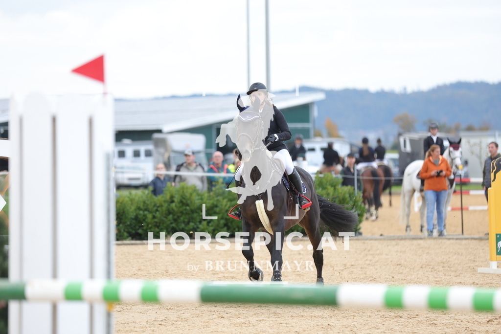 0P6A0144 | Willkommen bei Brunnmayr - Design & Fotografie – Ihrem Spezialisten für Reitturniere und Pferdeveranstaltungen in Oberösterreich, Salzburg und Bayern! Seit über 17 Jahren sind wir leidenschaftlich dabei.