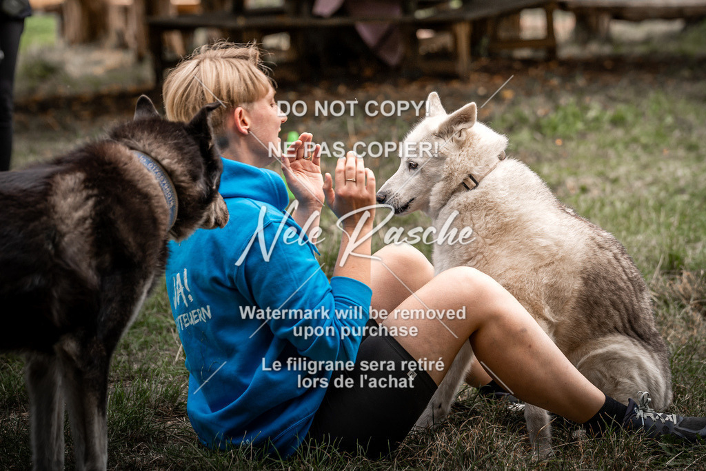nelerasche_freitag2_051 | nelerasche