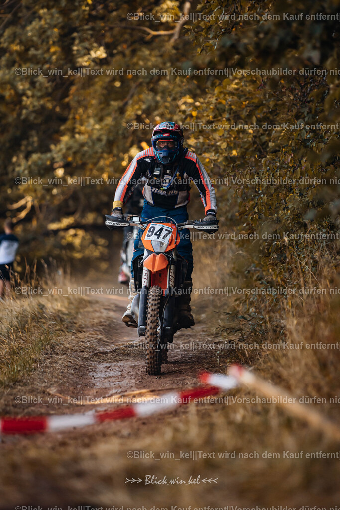 E68A6373 | blick_win_kel