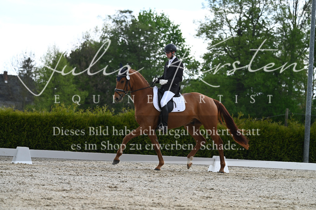 20230512_JK-Röhrsdorf-03-044 | Pferde- und Turnierfotografie in Westsachsen. Pferdeportraits, Auftragszeichnungen und intuitive Kunst.