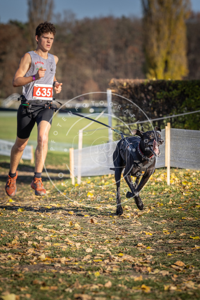 CaniXpix_DV3A0208 | Hundefotografie, Tierfotograf, Pfotenfotografie, Fotoshooting Hund, Hunde Portrait, Hundesport, Hundeportraits, Heideshooting, Hunde, Sportfotograf, Hundefotograf, Turnierhundsport, THS,  - Realisiert mit Pictrs.com