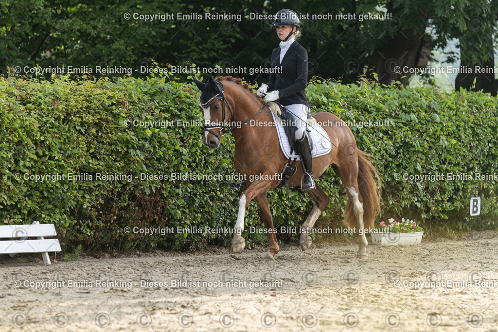 CL5A3389 | Emilia Reinking Fotografie - Realisiert mit Pictrs.com