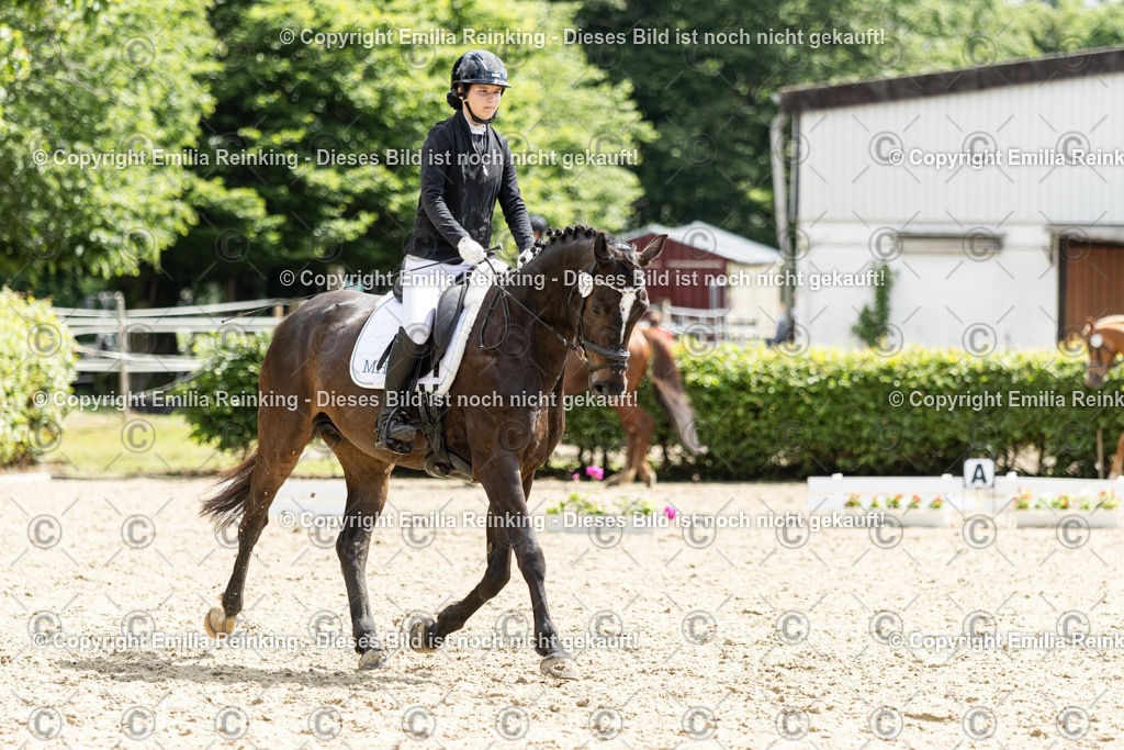 CL5A7876 | Emilia Reinking Fotografie - Realisiert mit Pictrs.com