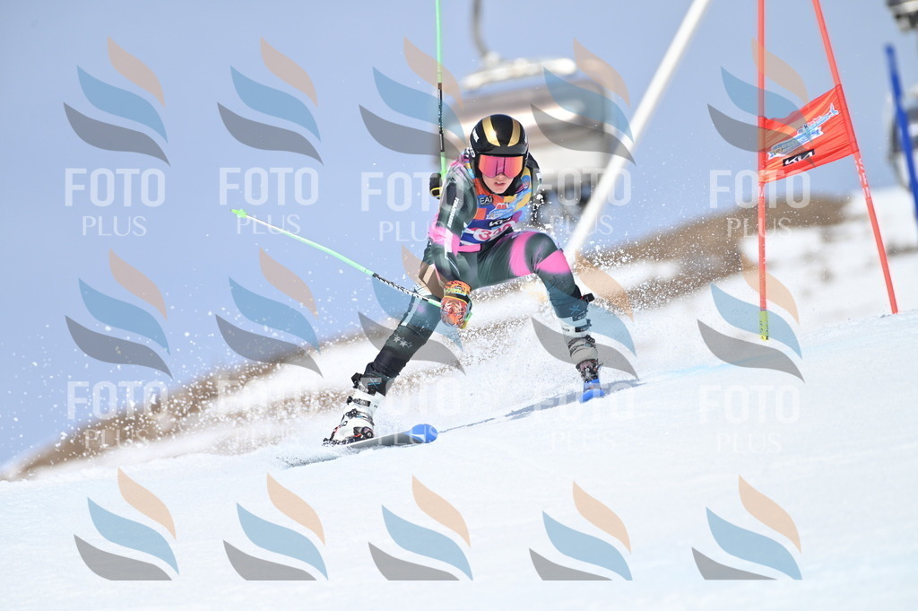 BGV_3425 | holidayphoto