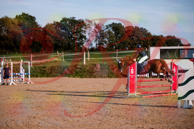 2026_10_03_Siefer-Hof_171200_Z81_08988037 | Professionelle Reitsport-, Turnier- und Eventfotografie von Robert Broda. Galerien mit ausgewählten und bearbeiteten Bildern direkt online ansehen und bestellen.