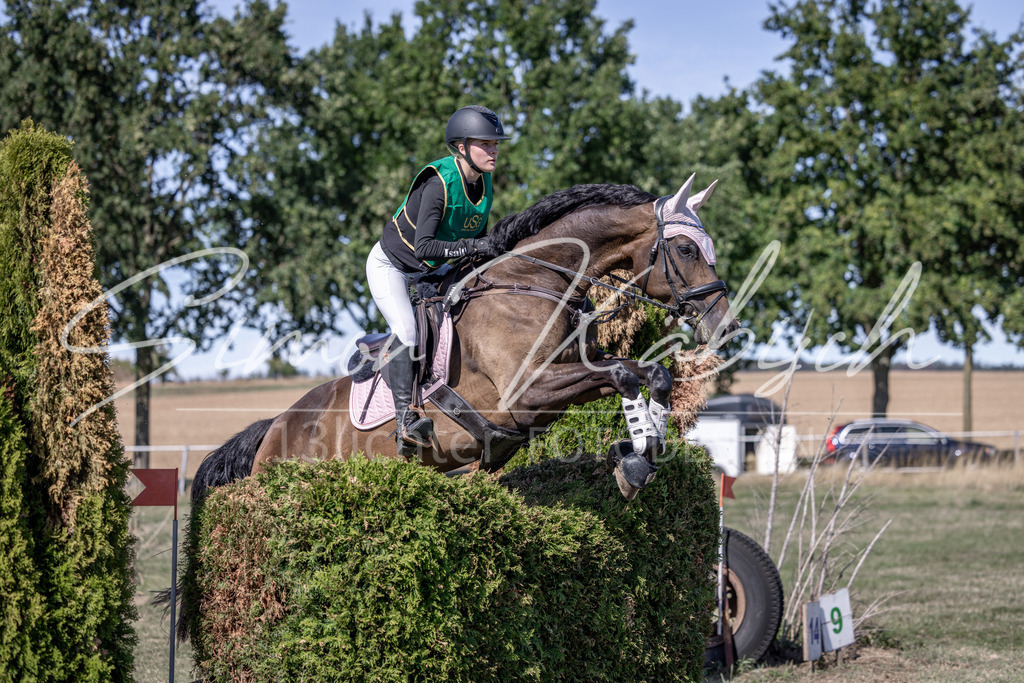 20260906-_3LI5248 | Tierfotografie Pferde, Hunde, Katzen, Haustiere.
Turnierfotografie Reitturniere, Reiten, Springreiten, Dressur in Hanau, dem Main-Kinzig-Kreis und dem Rhein-Main- Gebiet um Frankfurt