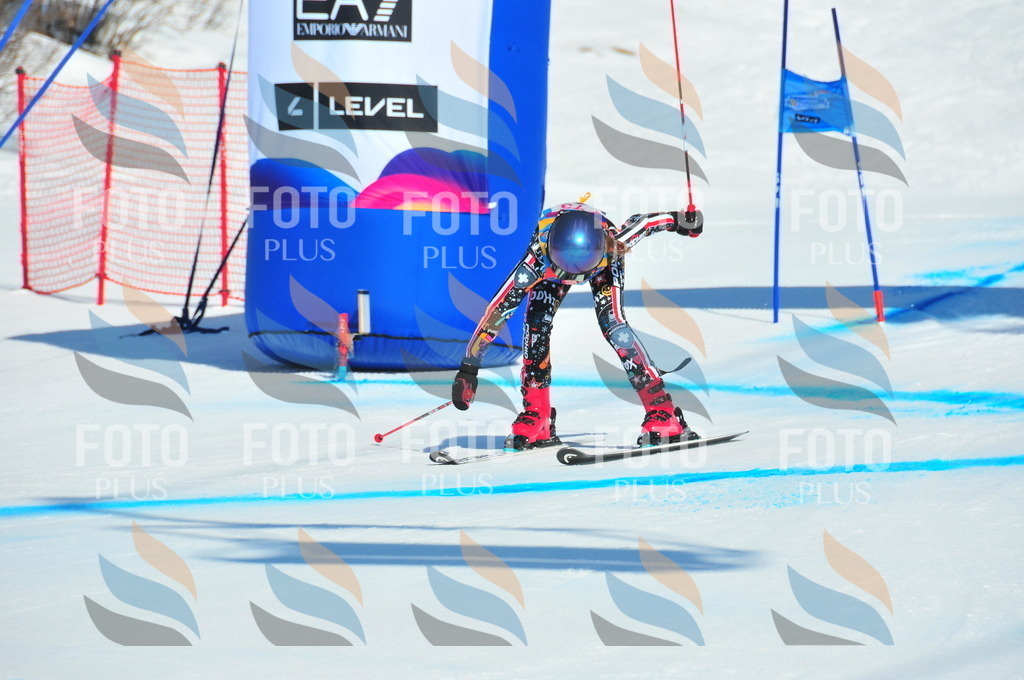 DSC_4319 | holidayphoto