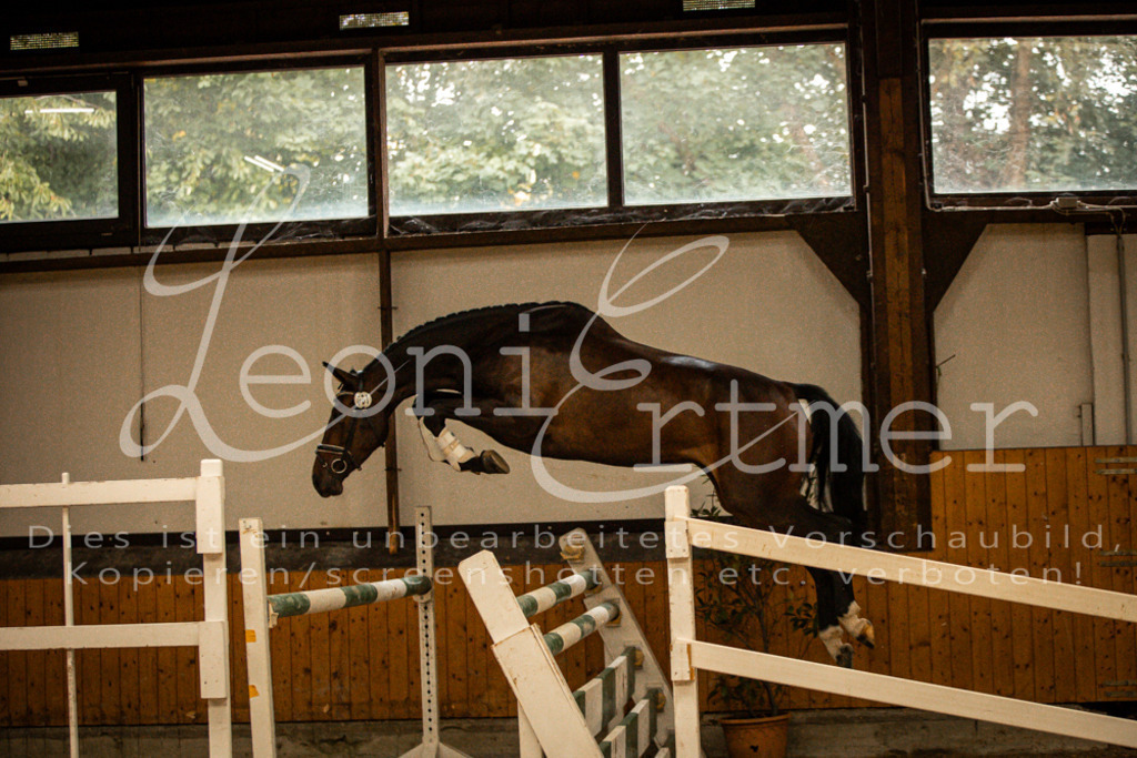 1FS_L00024 | Leoni Ertmer Photography - Realisiert mit Pictrs.com