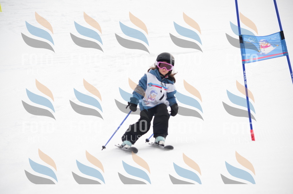 B9976 | holidayphoto