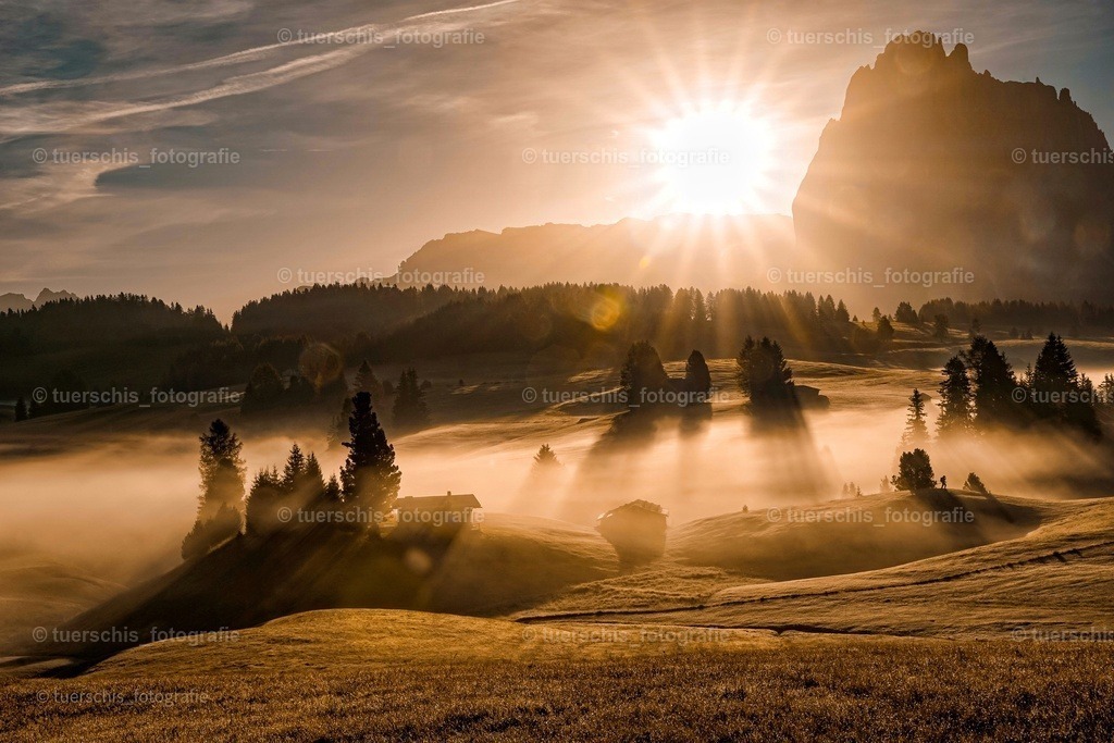 _DSC5025-01-01 | tuerschis_fotografie - Realisiert mit Pictrs.com