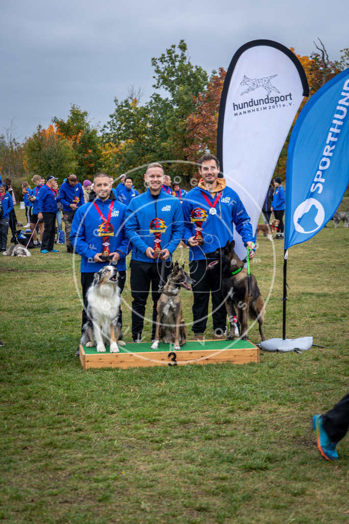 Pfotenfotografie_0L8A0706 | Hundefotografie, Tierfotograf, Pfotenfotografie, Fotoshooting Hund, Hunde Portrait, Hundesport, Hundeportraits, Heideshooting, Hunde, Sportfotograf, Hundefotograf, Turnierhundsport, THS,  - Realisiert mit Pictrs.com