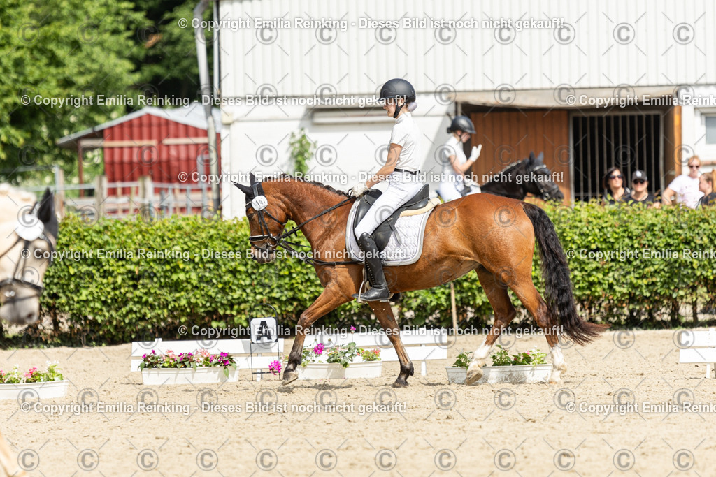 CL5A1307 | Emilia Reinking Fotografie - Realisiert mit Pictrs.com