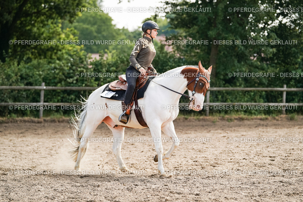 DSC04760 | Pferdegrafie