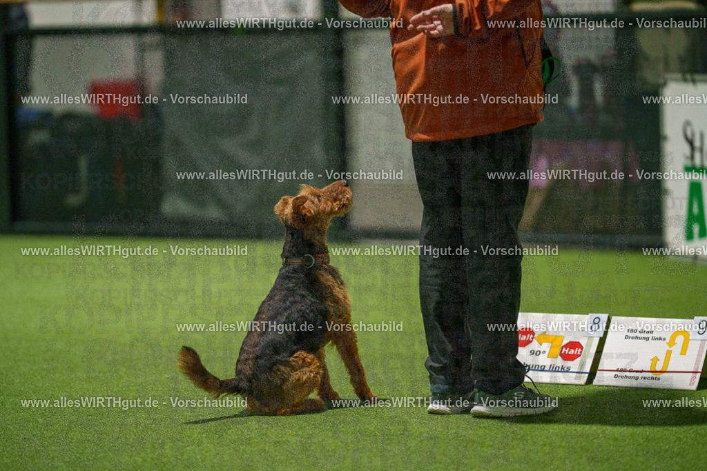 7R509219 | Professionelle Tierfotografie in Mönchengladbach von Daniel Wirth (allesWIRTHgut). Liebevolle & natürliche Bilder von Hunden & Katzen für unvergessliche Erinnerungen.