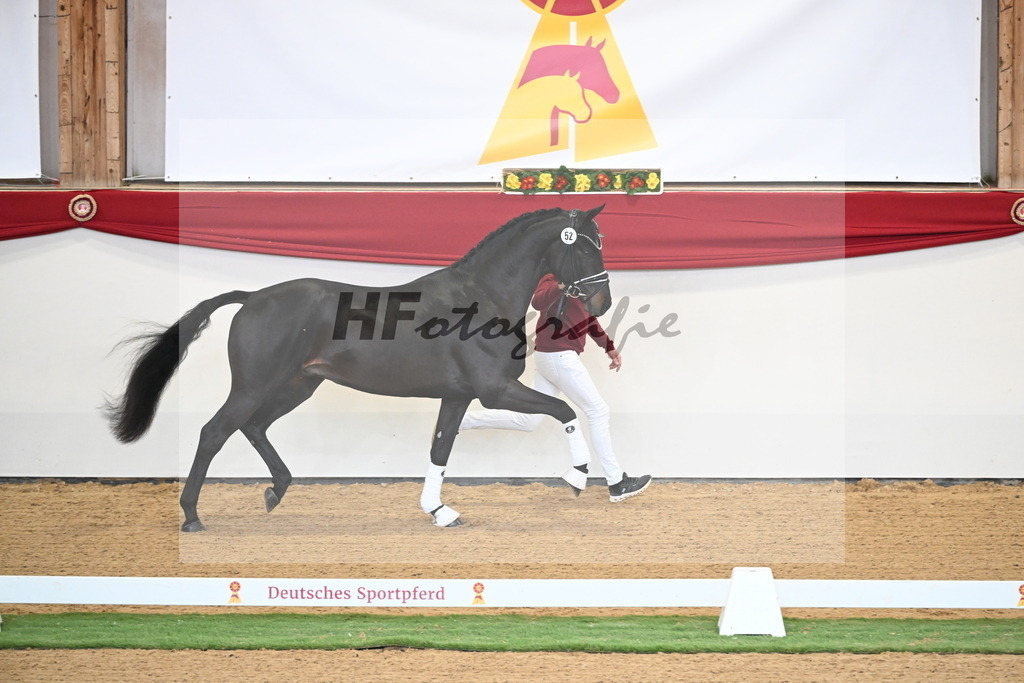 Kat.-Nr. 79 v. Taurus_Beckmann_2250349 | hf-fotografie - Realisiert mit Pictrs.com