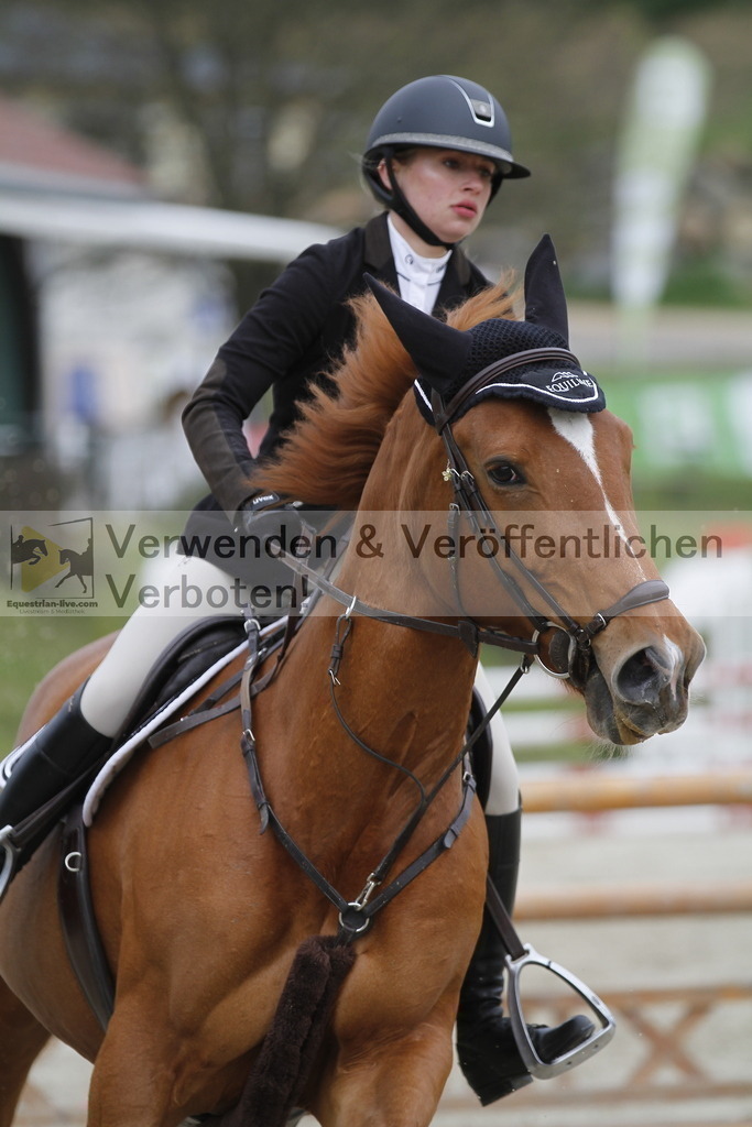 _MG_1173 | equestrian-live-com