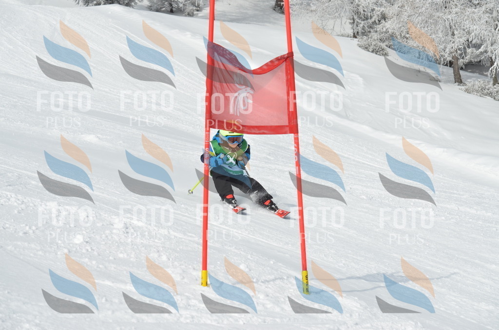 D8467 | holidayphoto